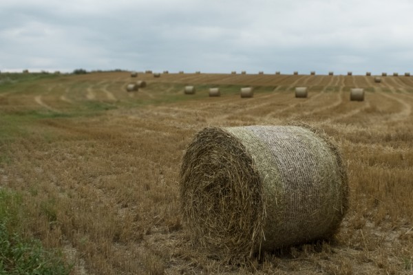 westerwald - (c) m mueller.jpg